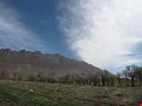 Alvand protected area