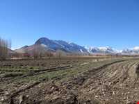 Alvand protected area