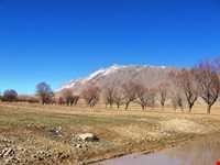 Alvand protected area