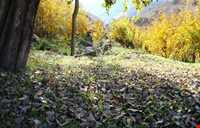 روستای منگره