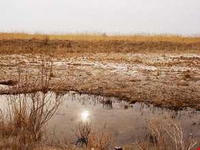 تالاب بند علیخان