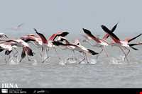 تالاب بند علیخان