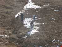 تالاب بند علیخان