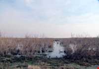 تالاب بند علیخان