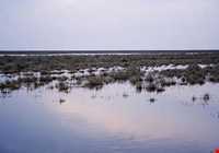 تالاب بند علیخان