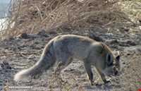 تالاب بند علیخان