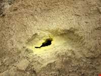 Ancient city of Asak