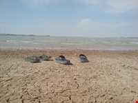 Helmand River and Chah -e Nimeh