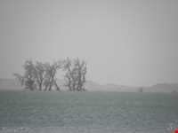 Helmand River and Chah -e Nimeh