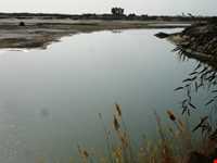 Helmand River and Chah -e Nimeh