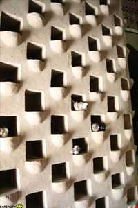 برج کبوترخانه میبد