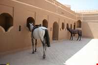 چاپارخانه میبد