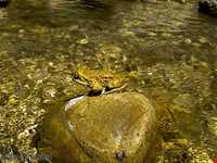 چشمه مرتضی علی