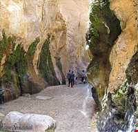 Shah Abbasi Band and Tagh