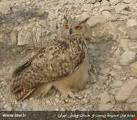 Bahukalat (Gando) Protected Area