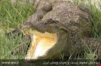 Bahukalat (Gando) Protected Area