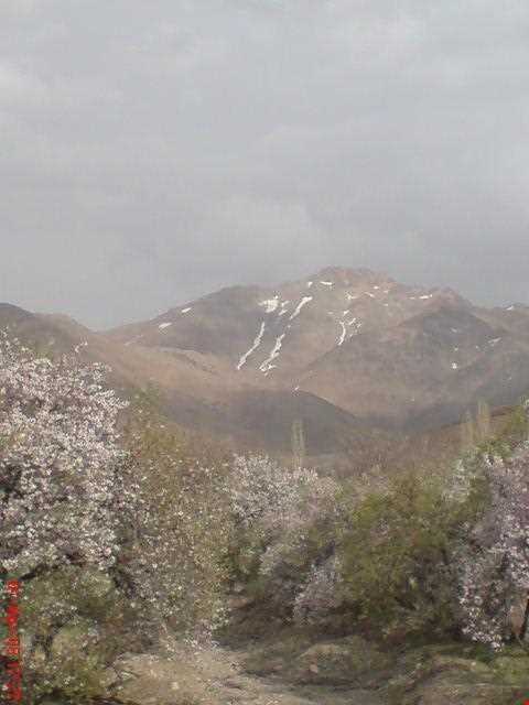 پناهگاه حیات وحش جاسب