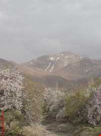 پناهگاه حیات وحش جاسب