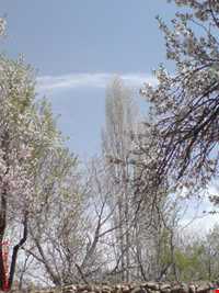 پناهگاه حیات وحش جاسب