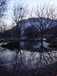 پناهگاه حیات وحش جاسب