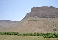 پناهگاه حیات وحش جاسب