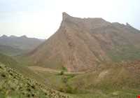 پناهگاه حیات وحش جاسب