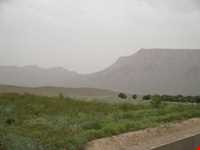 پناهگاه حیات وحش جاسب