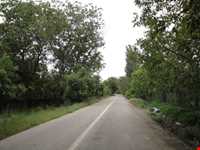 پناهگاه حیات وحش جاسب