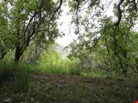 پناهگاه حیات وحش جاسب