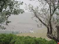 پناهگاه حیات وحش جاسب