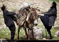 Nomads Of Pakdasht