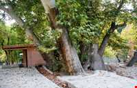 روستای ورده