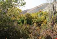 روستای ورده