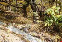 روستای ورده