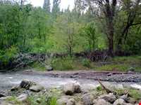 رودخانه طالقان ( طالقان رود )