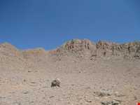 منطقه حفاظت شده هفتاد قله