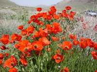 منطقه حفاظت شده هفتاد قله