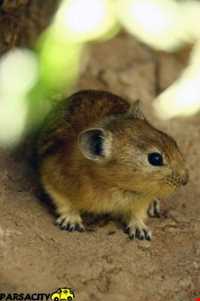 منطقه حفاظت شده هفتاد قله