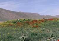 منطقه حفاظت شده هفتاد قله