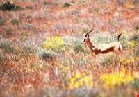 منطقه حفاظت شده هفتاد قله