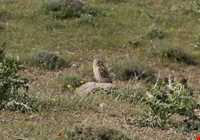 منطقه حفاظت شده هفتاد قله