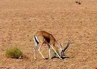 منطقه حفاظت شده هفتاد قله