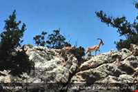 منطقه حفاظت شده هفتاد قله