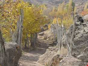 روستای کرکبود