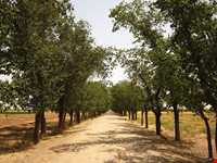 فرودگاه آزادی