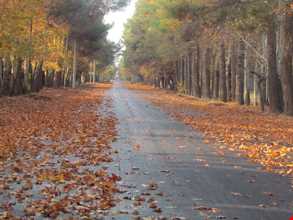 روستای فرخ آباد و زیبادشت