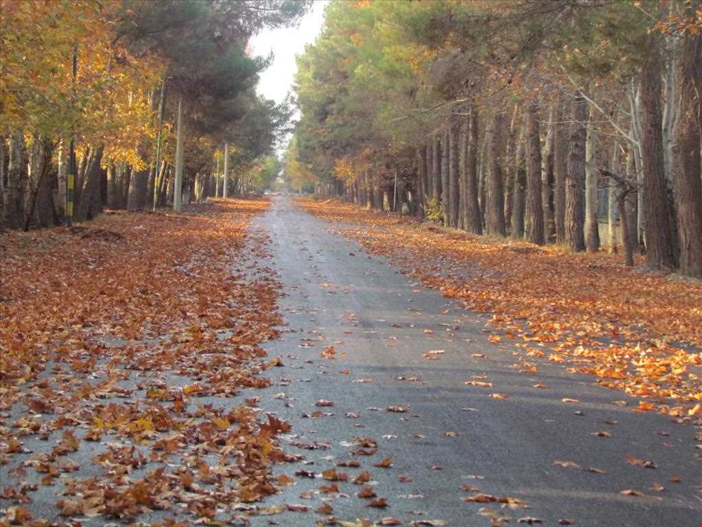 روستای فرخ آباد و زیبادشت