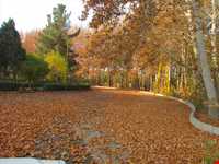 روستای فرخ آباد و زیبادشت