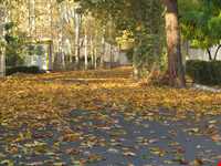 روستای فرخ آباد و زیبادشت