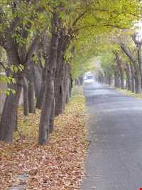 روستای فرخ آباد و زیبادشت